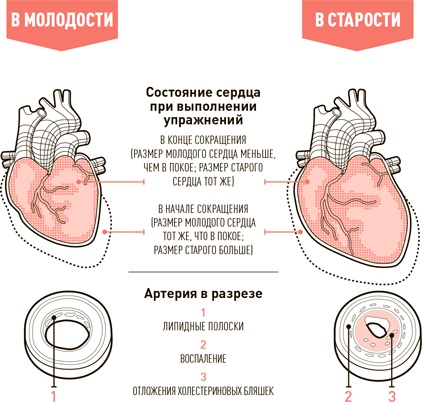 Иллюстрация к книге — Проект Better Man. 2476 способов прокачать здоровье, форму, карьеру и секс [i_050.jpg]