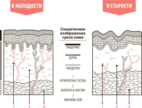 Иллюстрация к книге — Проект Better Man. 2476 способов прокачать здоровье, форму, карьеру и секс [i_052.jpg]