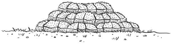 Иллюстрация к книге — Таинственное происшествие [block_00114450.jpg]