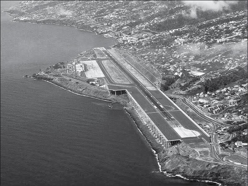 Иллюстрация к книге — Голубь с зеленым горошком [i_008.jpg]