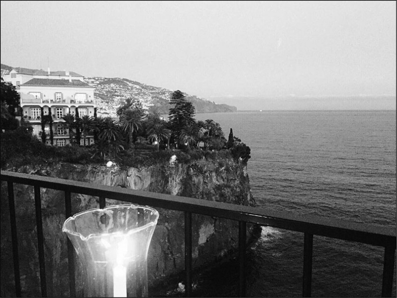 Иллюстрация к книге — Голубь с зеленым горошком [i_010.jpg]