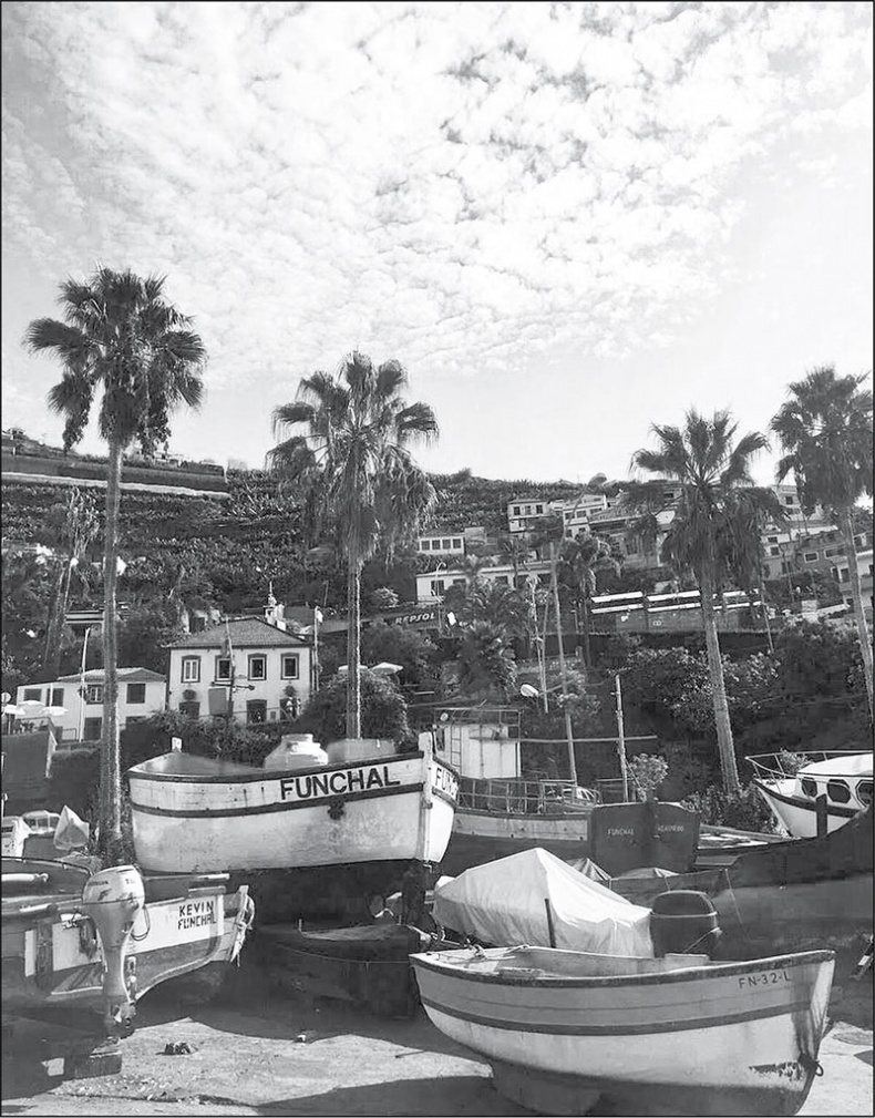 Иллюстрация к книге — Голубь с зеленым горошком [i_014.jpg]