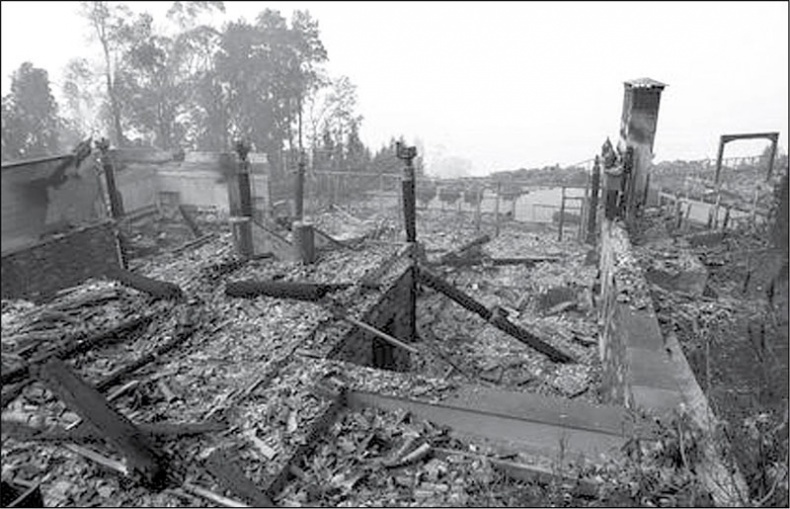 Иллюстрация к книге — Голубь с зеленым горошком [i_034.jpg]