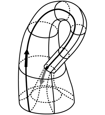 Иллюстрация к книге — Симпсоны и их математические секреты [i_085.jpg]