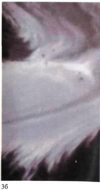 Иллюстрация к книге — Космос [i_014.jpg]