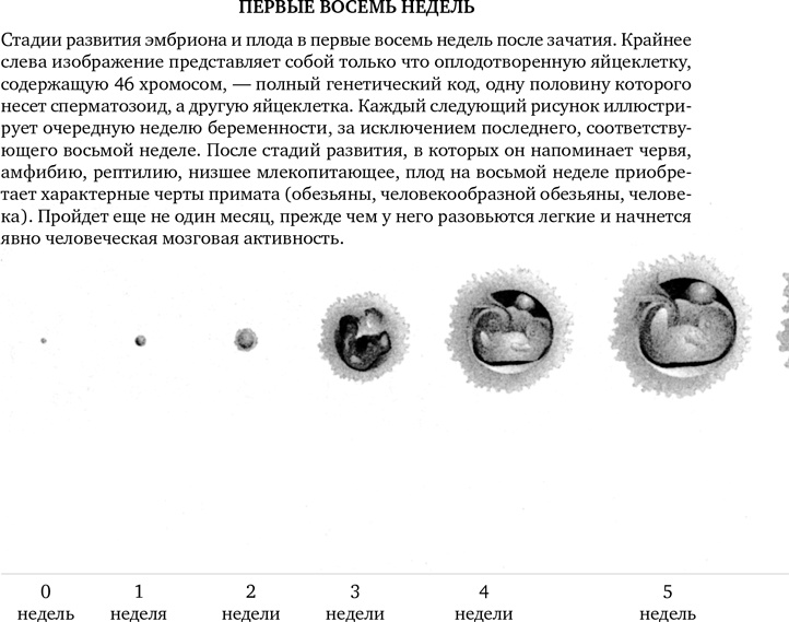 Иллюстрация к книге — Миллиарды и миллиарды. Размышления о жизни и смерти на рубеже тысячелетий [i_023.jpg]