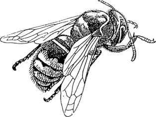 Иллюстрация к книге — Математика для гиков [i_102.jpg]