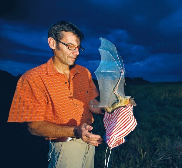 Иллюстрация к книге — Интернет животных [i_003.jpg]