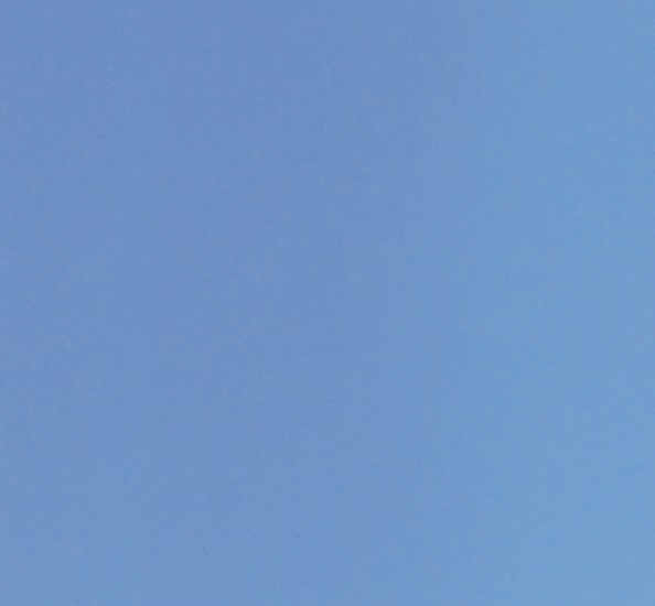 Иллюстрация к книге — Интернет животных [i_007.jpg]