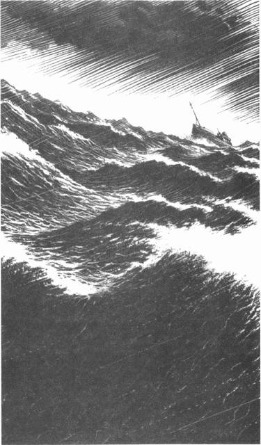 Иллюстрация к книге — Занимательное волноведение. Волнения и колебания вокруг нас [i_001.jpg]