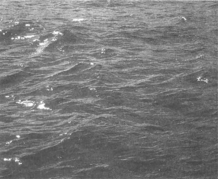 Иллюстрация к книге — Занимательное волноведение. Волнения и колебания вокруг нас [i_003.jpg]