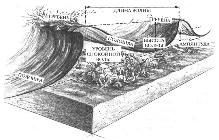 Иллюстрация к книге — Занимательное волноведение. Волнения и колебания вокруг нас [i_006.jpg]