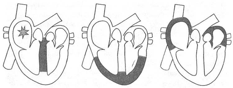 Иллюстрация к книге — Занимательное волноведение. Волнения и колебания вокруг нас [i_020.jpg]
