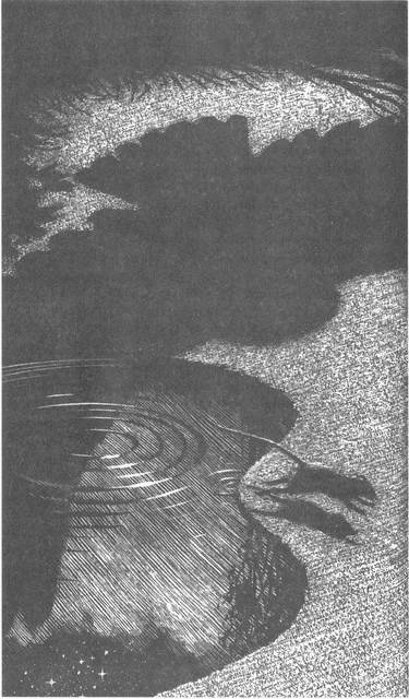 Иллюстрация к книге — Занимательное волноведение. Волнения и колебания вокруг нас [i_027.jpg]