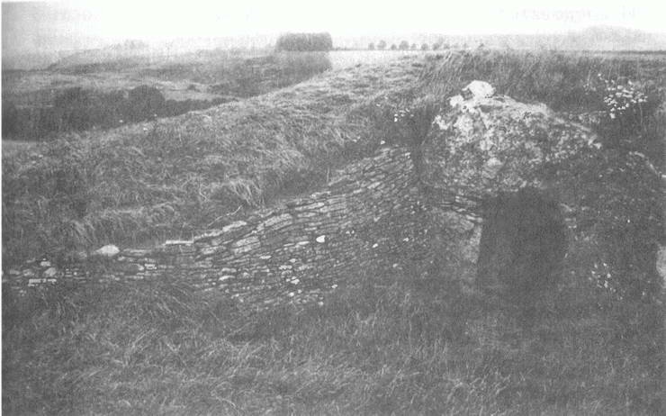 Иллюстрация к книге — Занимательное волноведение. Волнения и колебания вокруг нас [i_048.jpg]