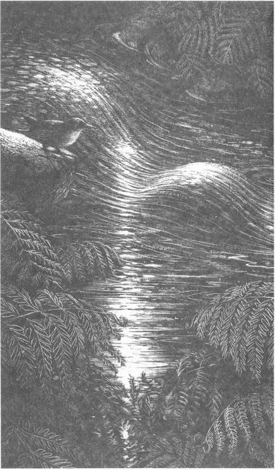 Иллюстрация к книге — Занимательное волноведение. Волнения и колебания вокруг нас [i_054.jpg]