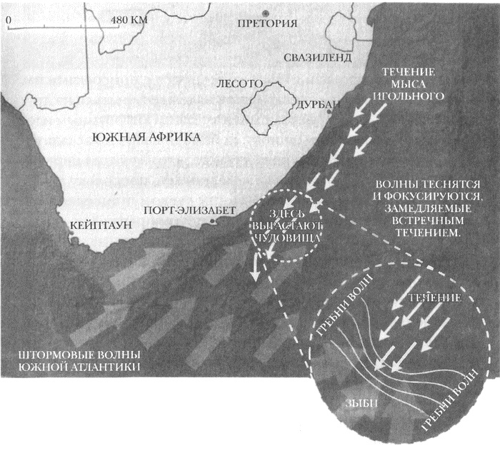 Иллюстрация к книге — Занимательное волноведение. Волнения и колебания вокруг нас [i_058.jpg]