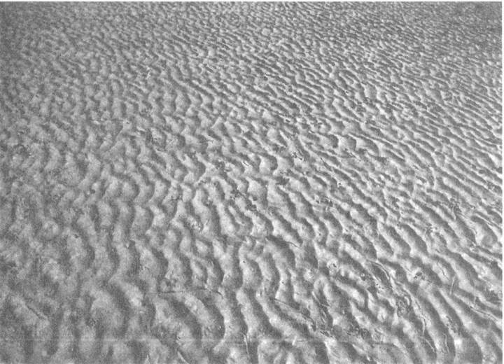 Иллюстрация к книге — Занимательное волноведение. Волнения и колебания вокруг нас [i_060.jpg]