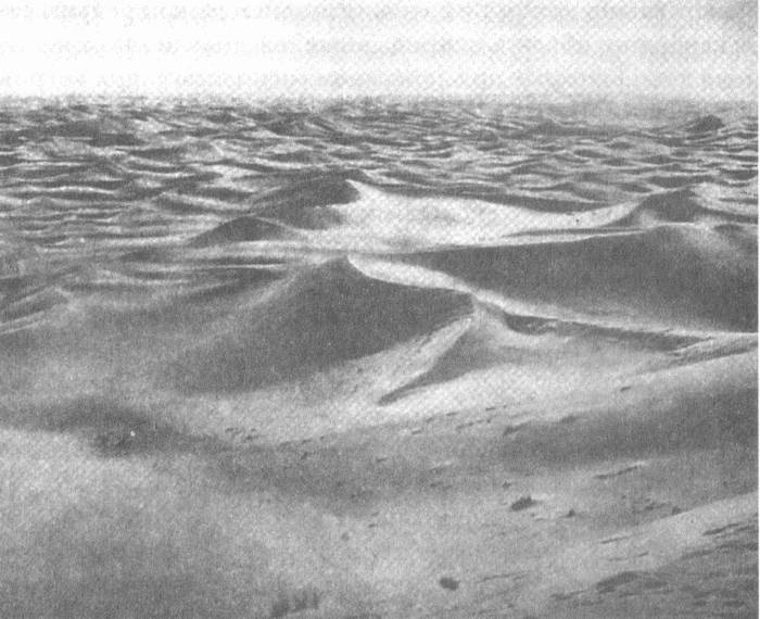 Иллюстрация к книге — Занимательное волноведение. Волнения и колебания вокруг нас [i_061.jpg]