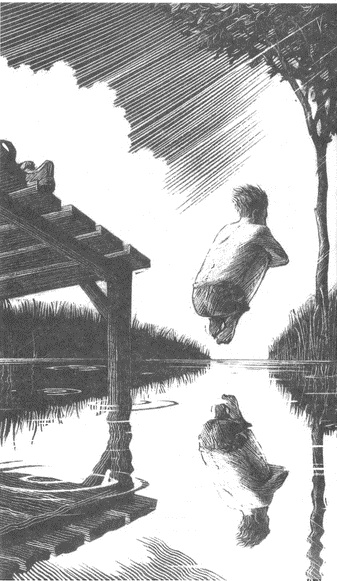 Иллюстрация к книге — Занимательное волноведение. Волнения и колебания вокруг нас [i_066.jpg]