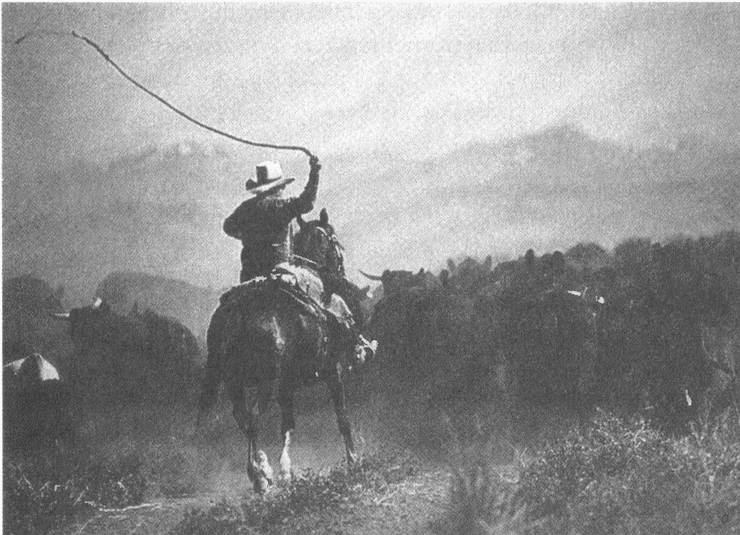 Иллюстрация к книге — Занимательное волноведение. Волнения и колебания вокруг нас [i_074.jpg]