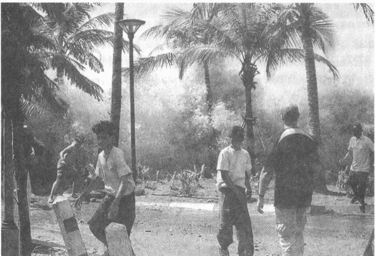 Иллюстрация к книге — Занимательное волноведение. Волнения и колебания вокруг нас [i_093.jpg]