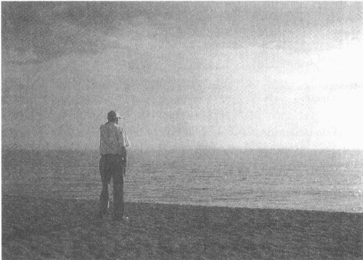 Иллюстрация к книге — Занимательное волноведение. Волнения и колебания вокруг нас [i_094.jpg]