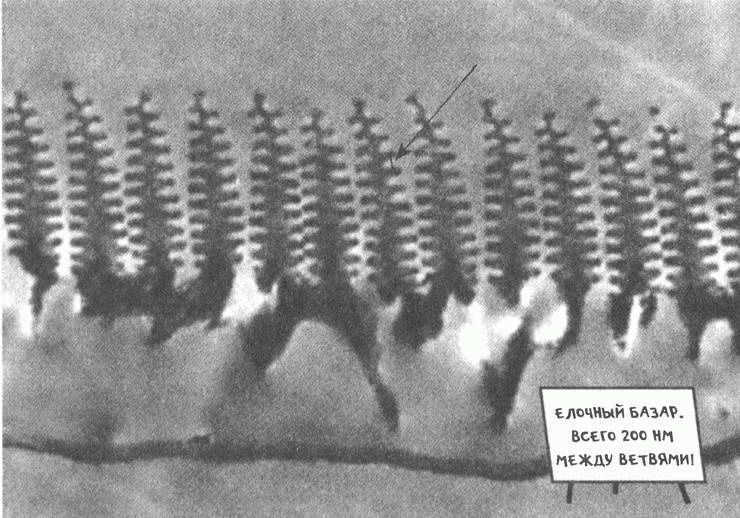 Иллюстрация к книге — Занимательное волноведение. Волнения и колебания вокруг нас [i_111.jpg]