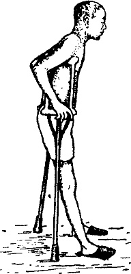 Иллюстрация к книге — Занимательная физиология [i_002.jpg]