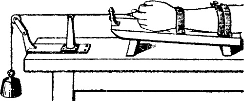 Иллюстрация к книге — Занимательная физиология [i_019.jpg]