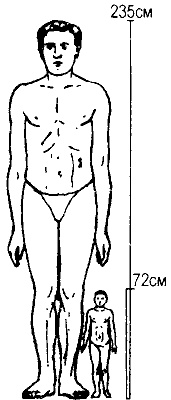 Иллюстрация к книге — Занимательная физиология [i_025.jpg]