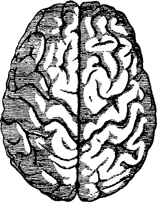 Иллюстрация к книге — Занимательная физиология [i_031.jpg]
