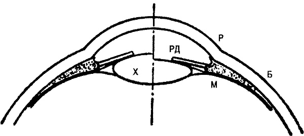 Иллюстрация к книге — Занимательная физиология [i_049.jpg]