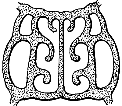 Иллюстрация к книге — Занимательная физиология [i_056.jpg]