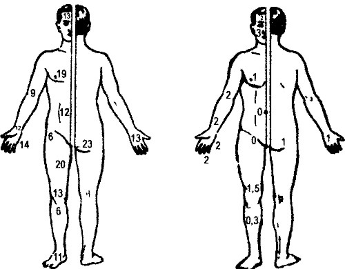Иллюстрация к книге — Занимательная физиология [i_058.jpg]