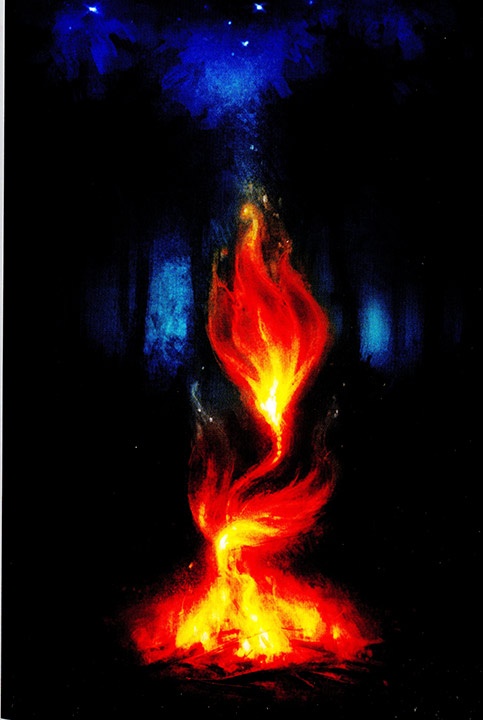 Иллюстрация к книге — Король и спасительница [i_005.jpg]