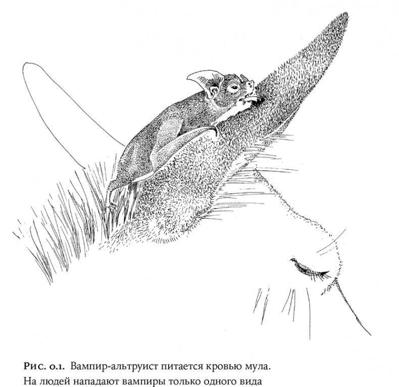 Иллюстрация к книге — Люди и звери. Мифы и реальность [i_002.jpg]