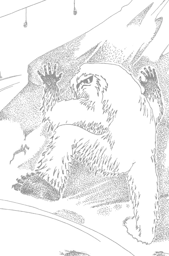 Иллюстрация к книге — Люди и звери. Мифы и реальность [i_011.jpg]