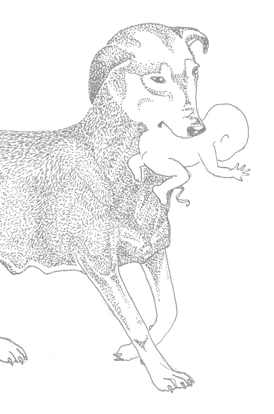 Иллюстрация к книге — Люди и звери. Мифы и реальность [i_020.jpg]