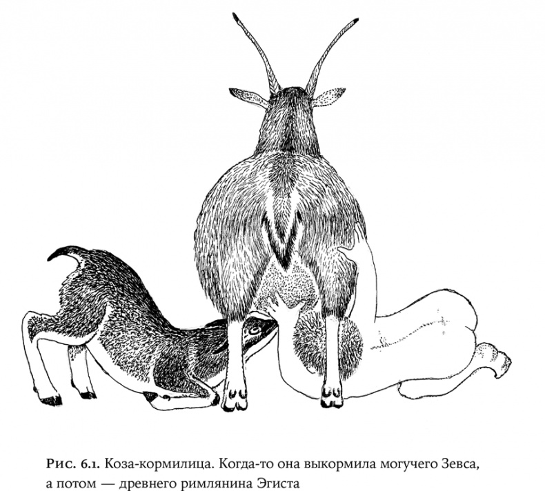 Иллюстрация к книге — Люди и звери. Мифы и реальность [i_021.jpg]