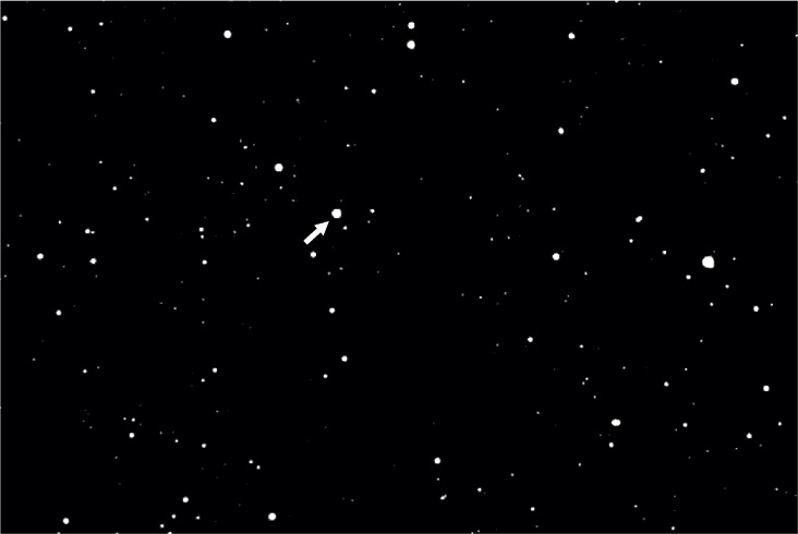 Иллюстрация к книге — Краткая история времени: От Большого Взрыва до черных дыр [i_020.jpg]