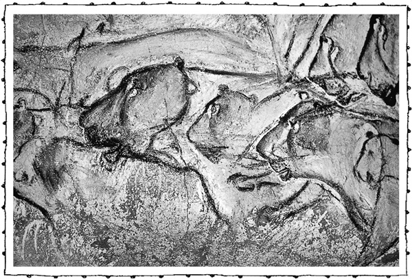 Иллюстрация к книге — Книга о самых невообразимых животных. Бестиарий XXI века [i_002.jpg]