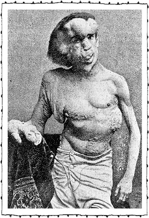 Иллюстрация к книге — Книга о самых невообразимых животных. Бестиарий XXI века [i_014.jpg]