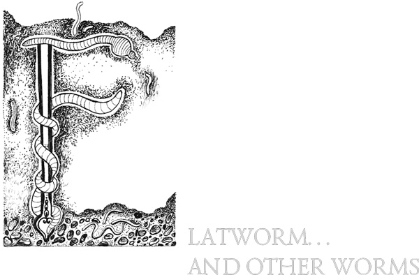 Иллюстрация к книге — Книга о самых невообразимых животных. Бестиарий XXI века [i_031.jpg]