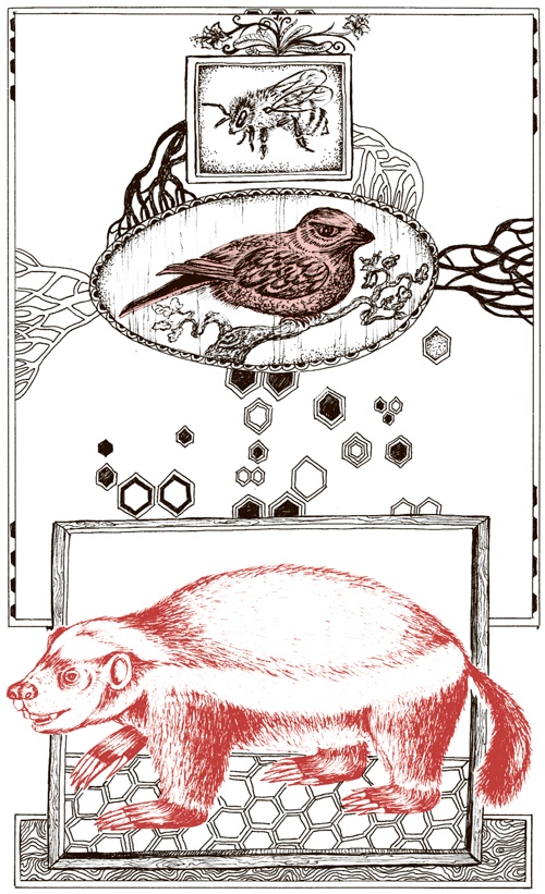 Иллюстрация к книге — Книга о самых невообразимых животных. Бестиарий XXI века [i_052.jpg]