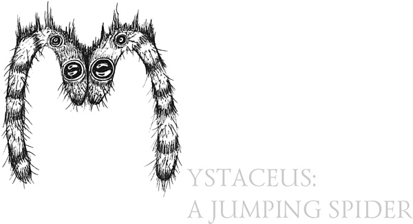 Иллюстрация к книге — Книга о самых невообразимых животных. Бестиарий XXI века [i_059.jpg]