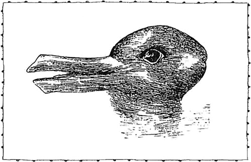 Иллюстрация к книге — Книга о самых невообразимых животных. Бестиарий XXI века [i_060.jpg]