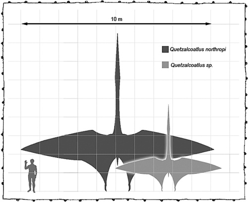 Иллюстрация к книге — Книга о самых невообразимых животных. Бестиарий XXI века [i_079.jpg]