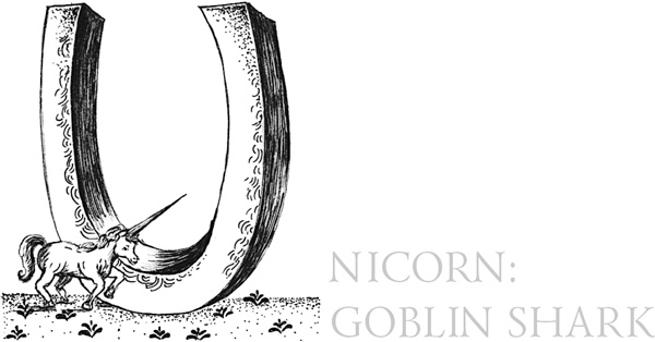 Иллюстрация к книге — Книга о самых невообразимых животных. Бестиарий XXI века [i_094.jpg]