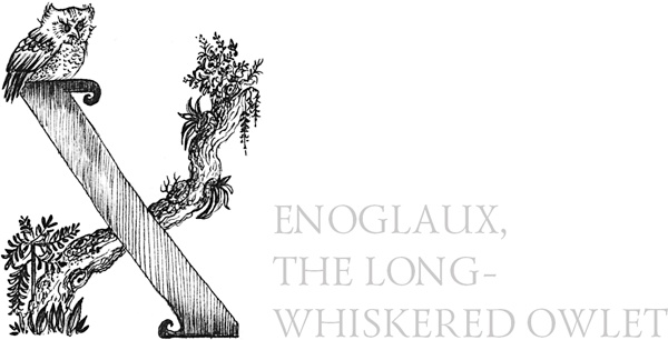 Иллюстрация к книге — Книга о самых невообразимых животных. Бестиарий XXI века [i_103.jpg]